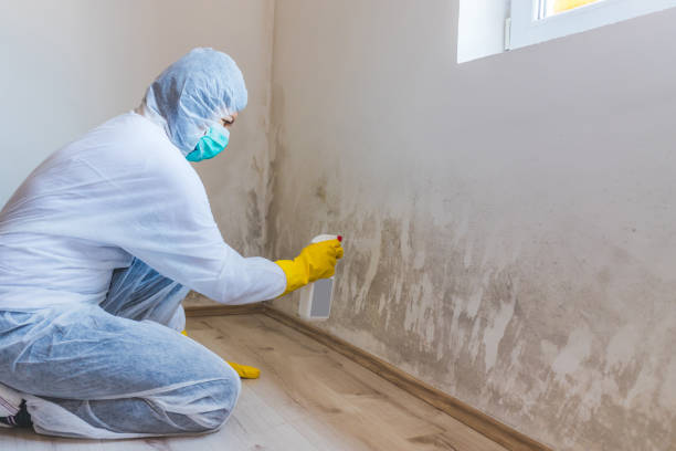 Forensic Mold Investigation in Swisher, IA