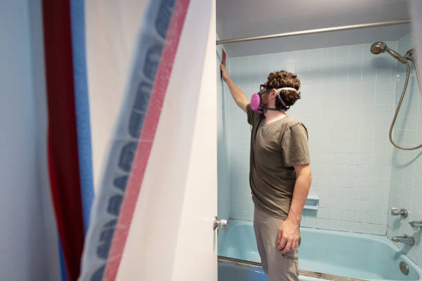 Trusted Swisher, IA Mold Removal Experts