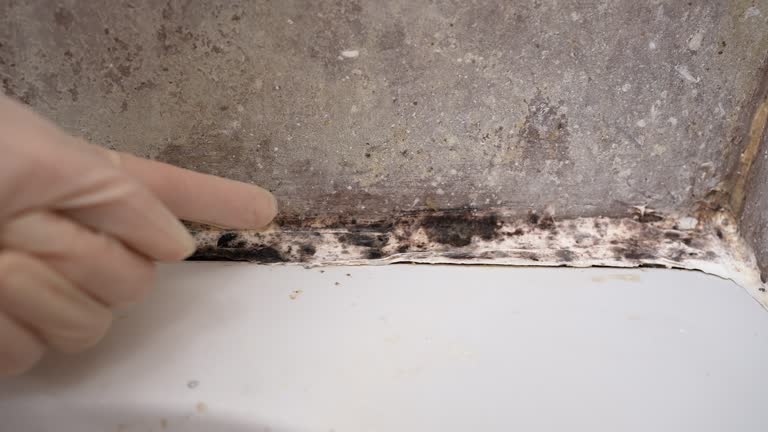 Best Residential Mold Inspection & Testing  in Swisher, IA